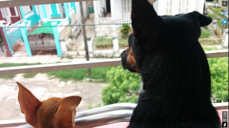 CloudReady Panel Derecha