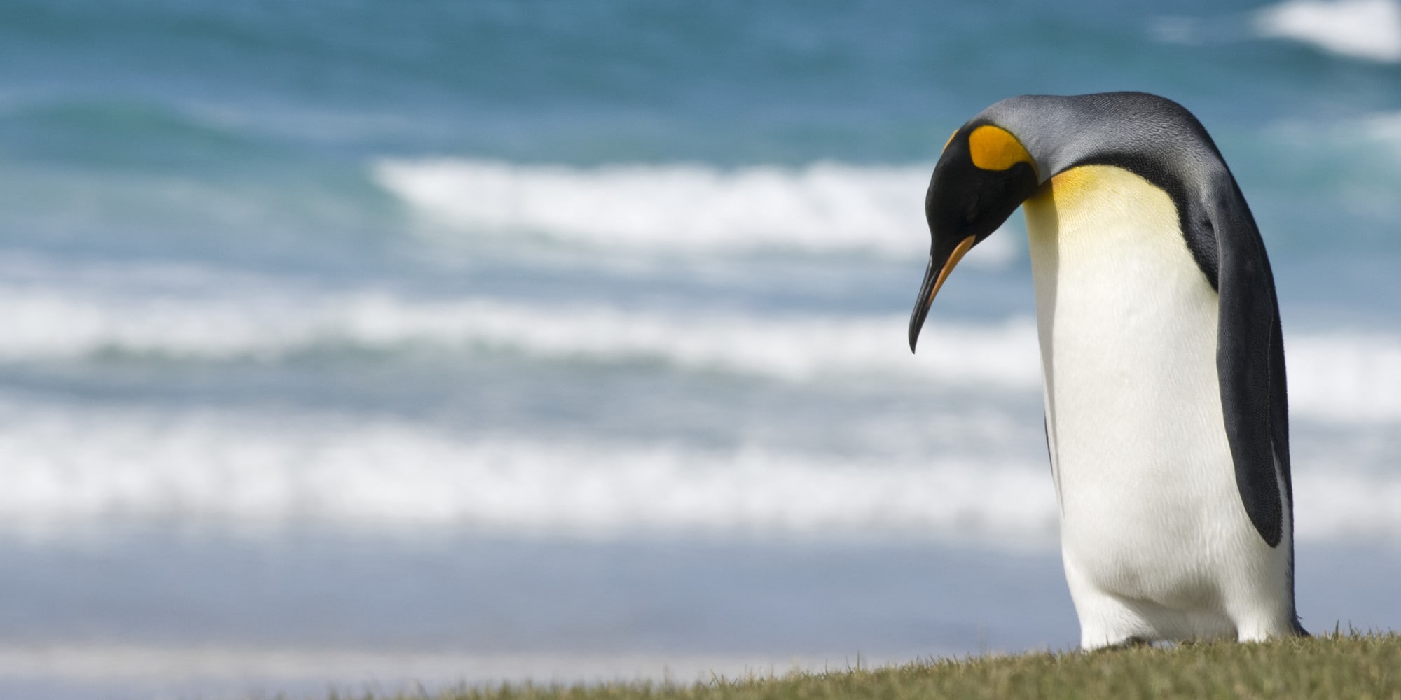 Aburrido en la blog-esfera Linuxera