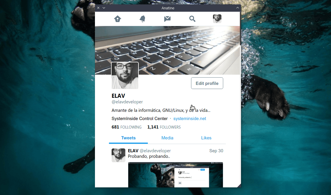 Anatine: otro cliente de Twitter Mobile